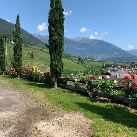 Апартаменти Weingut Bachguetl Чермес Екстер'єр фото