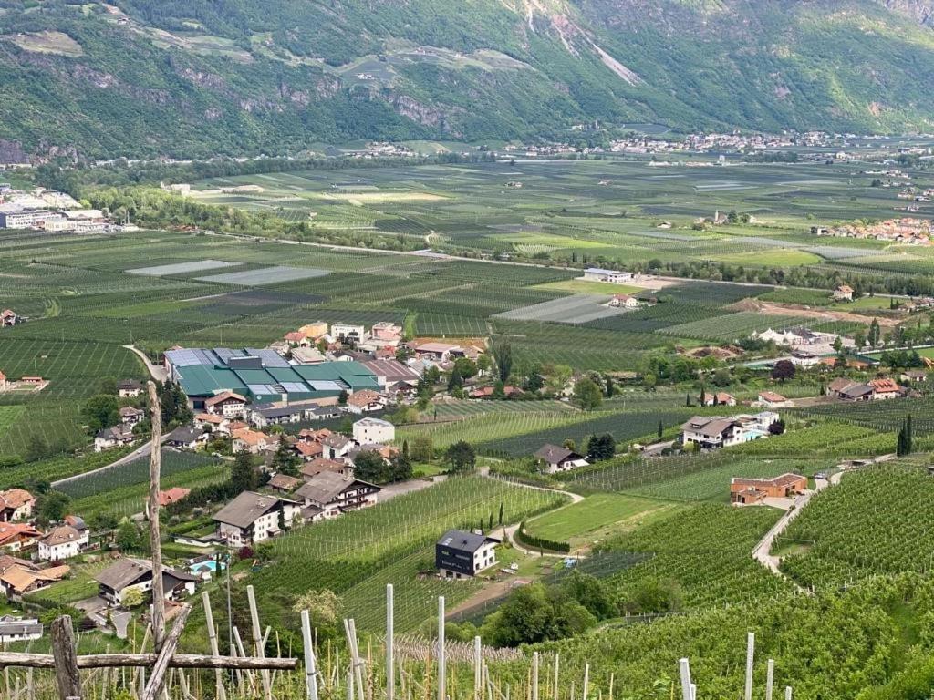 Апартаменти Weingut Bachguetl Чермес Екстер'єр фото